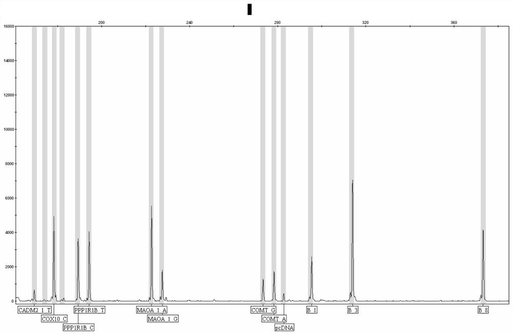 Kit and method for detecting human pressure sensitivity genotypes