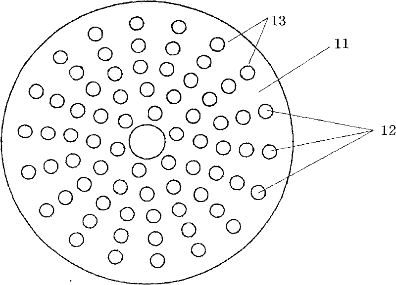 Fluidized bed reactor with wear-resistant gas distributor