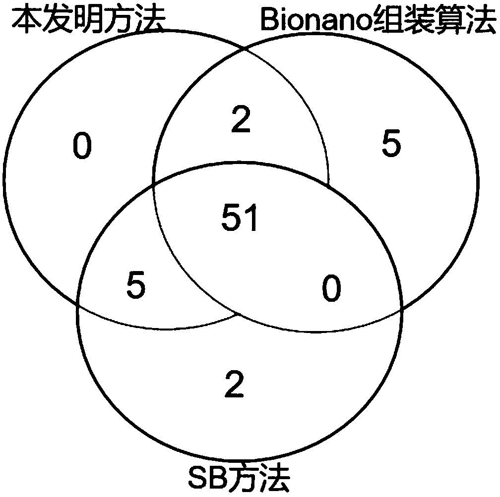 Bionano platform-based long tandem repeat sequence detection method