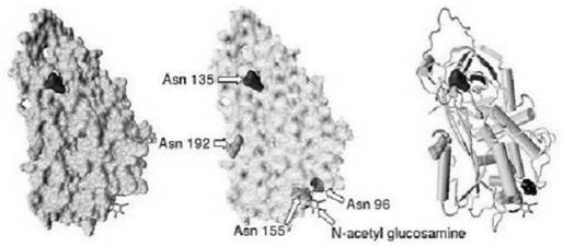 Method for extracting human antithrombin III from plasma