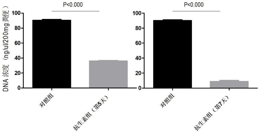 A research method of intestinal flora based on fecal filtration and transplantation