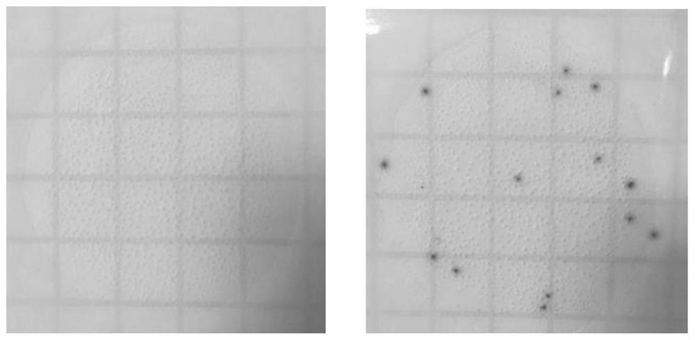 A research method of intestinal flora based on fecal filtration and transplantation