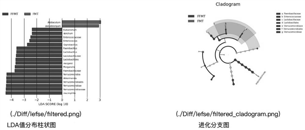 A research method of intestinal flora based on fecal filtration and transplantation