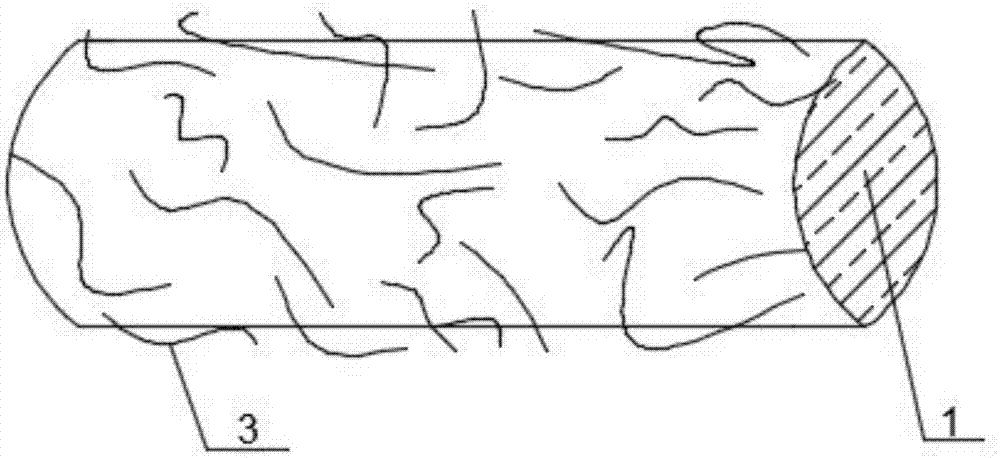 Skin-core composite fiber with nano fiber surface and preparation method thereof