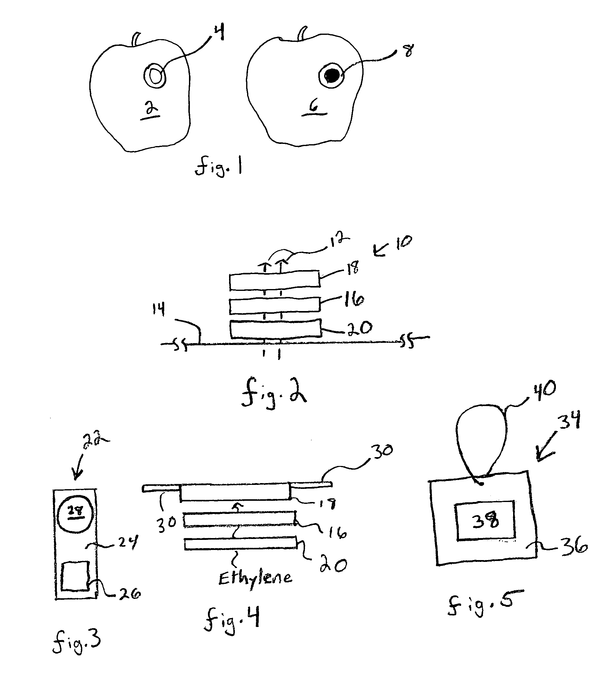 Non-invasive colorimetric ripeness indicator