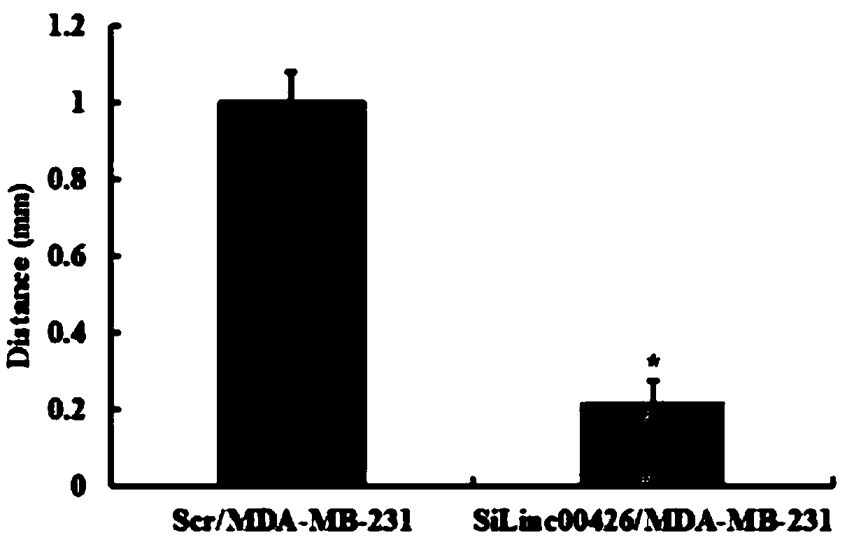 Application of long non-coding ribonucleic acid (lncRNA) in diagnosis and/or treatment of breast cancer