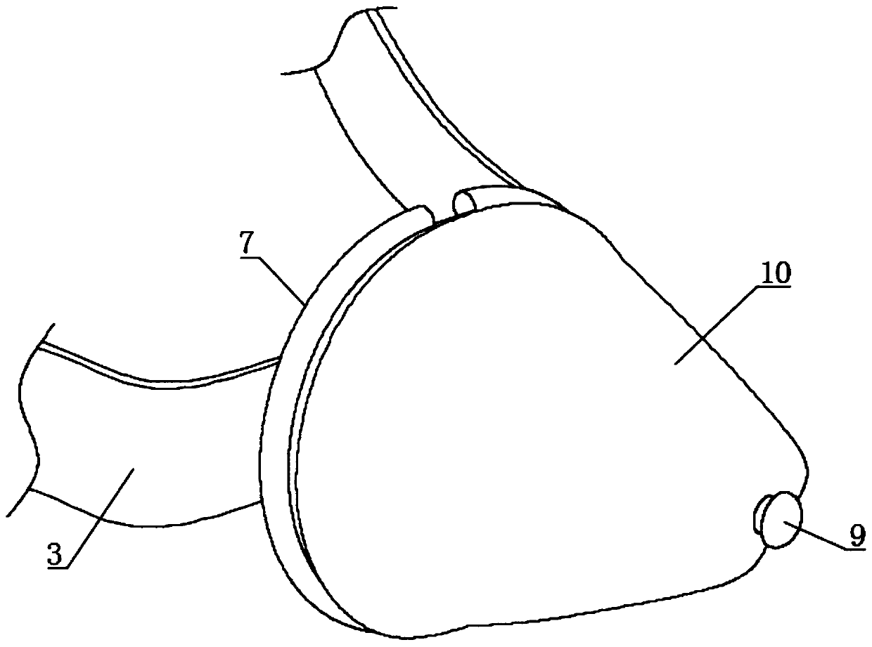 Auxiliary delivery device for medicine treatment on winter buds of mulberry trees