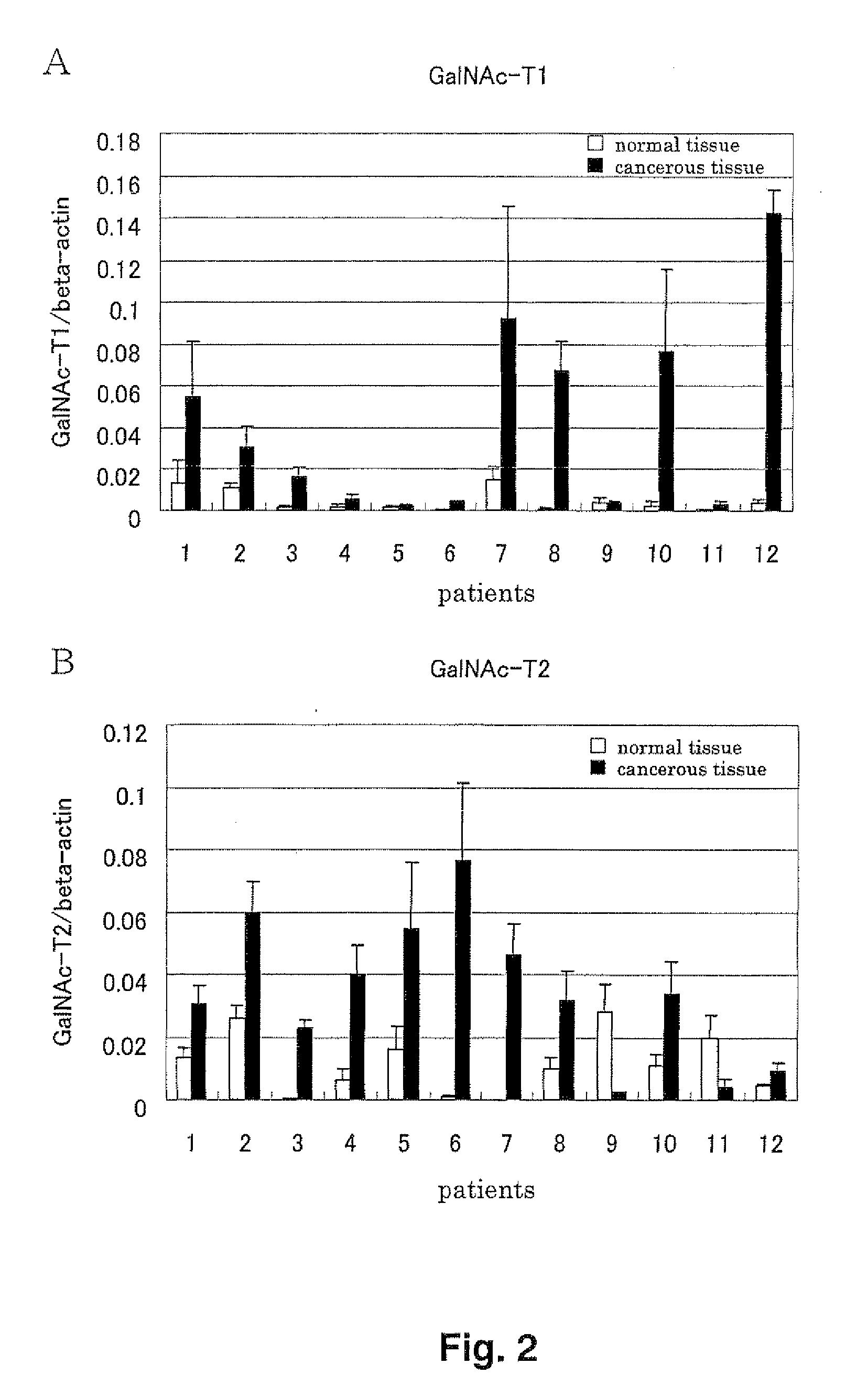 Novel n-acetylgalactosamine transferases and nucleic acids encoding the same