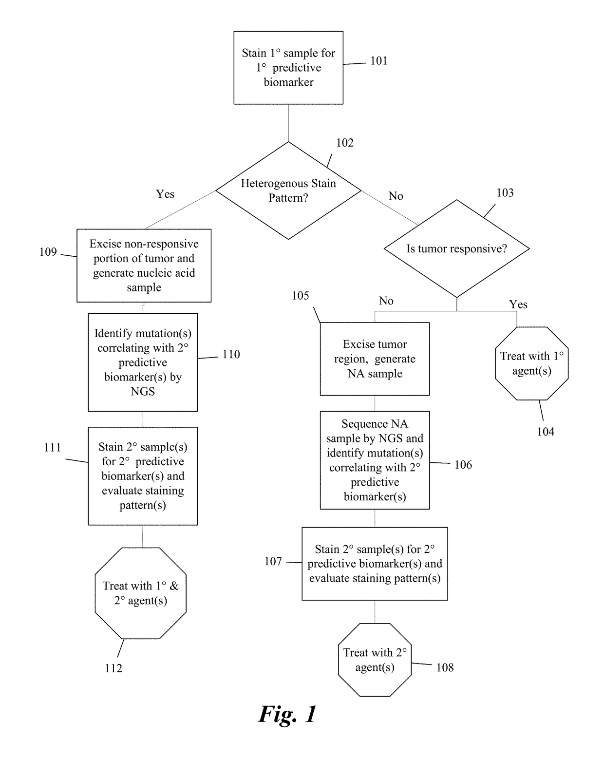 Predictive diagnostic workflow for tumors using automated dissection, next generation sequencing, and automated slide stainers