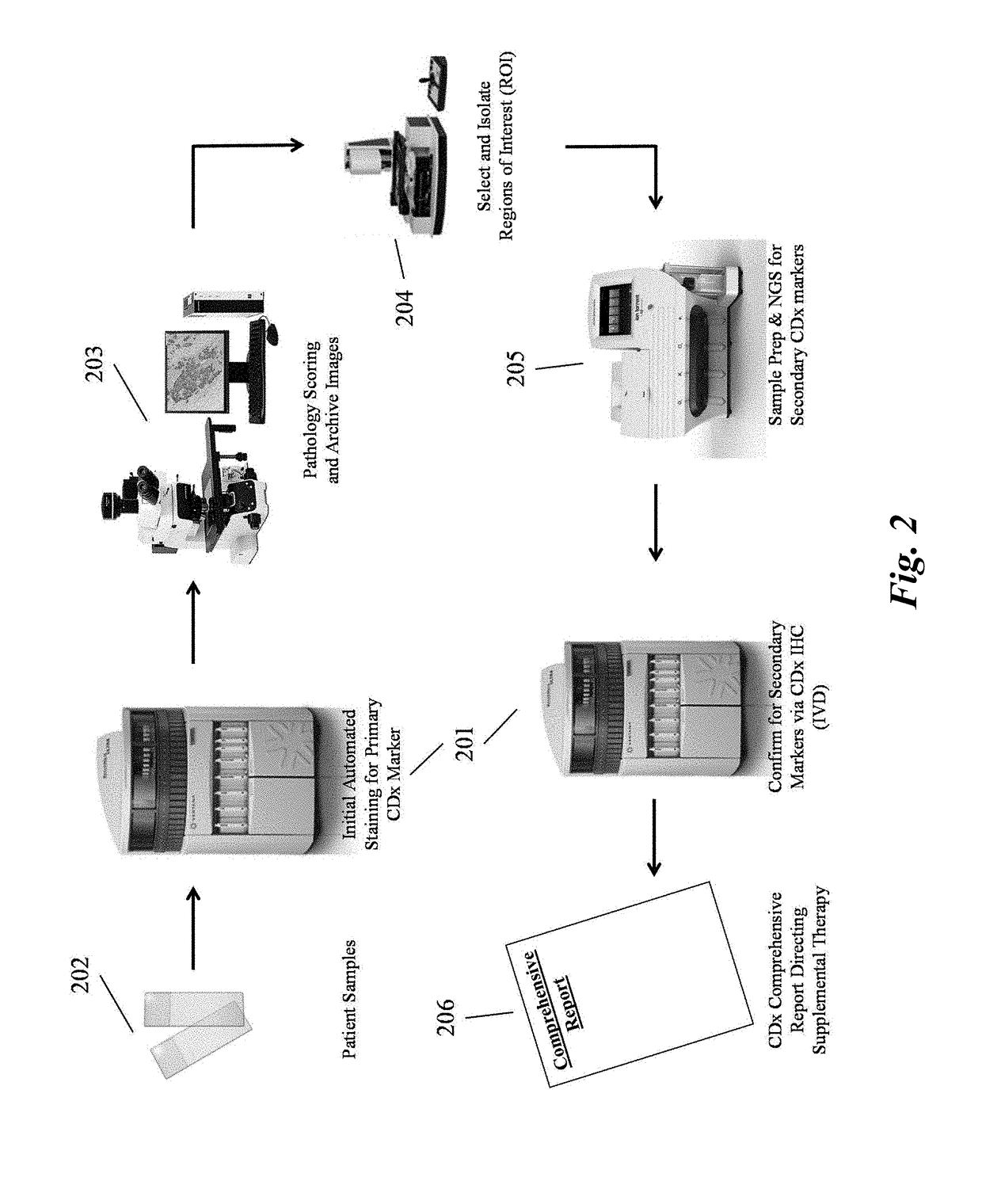 Predictive diagnostic workflow for tumors using automated dissection, next generation sequencing, and automated slide stainers