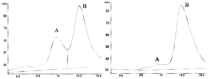 Recombinant bacteria expressed by escherichia coli genome N-acetylase by control of heterogenous promoter, and use thereof