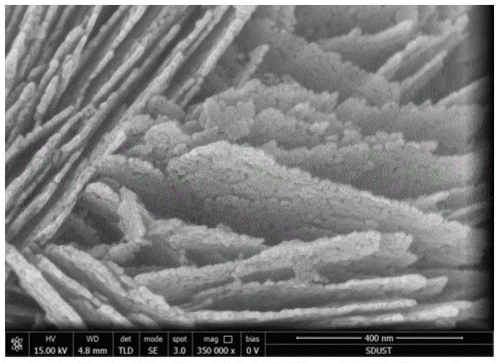 A kind of preparation method of porous zinc oxide with three-dimensional structure