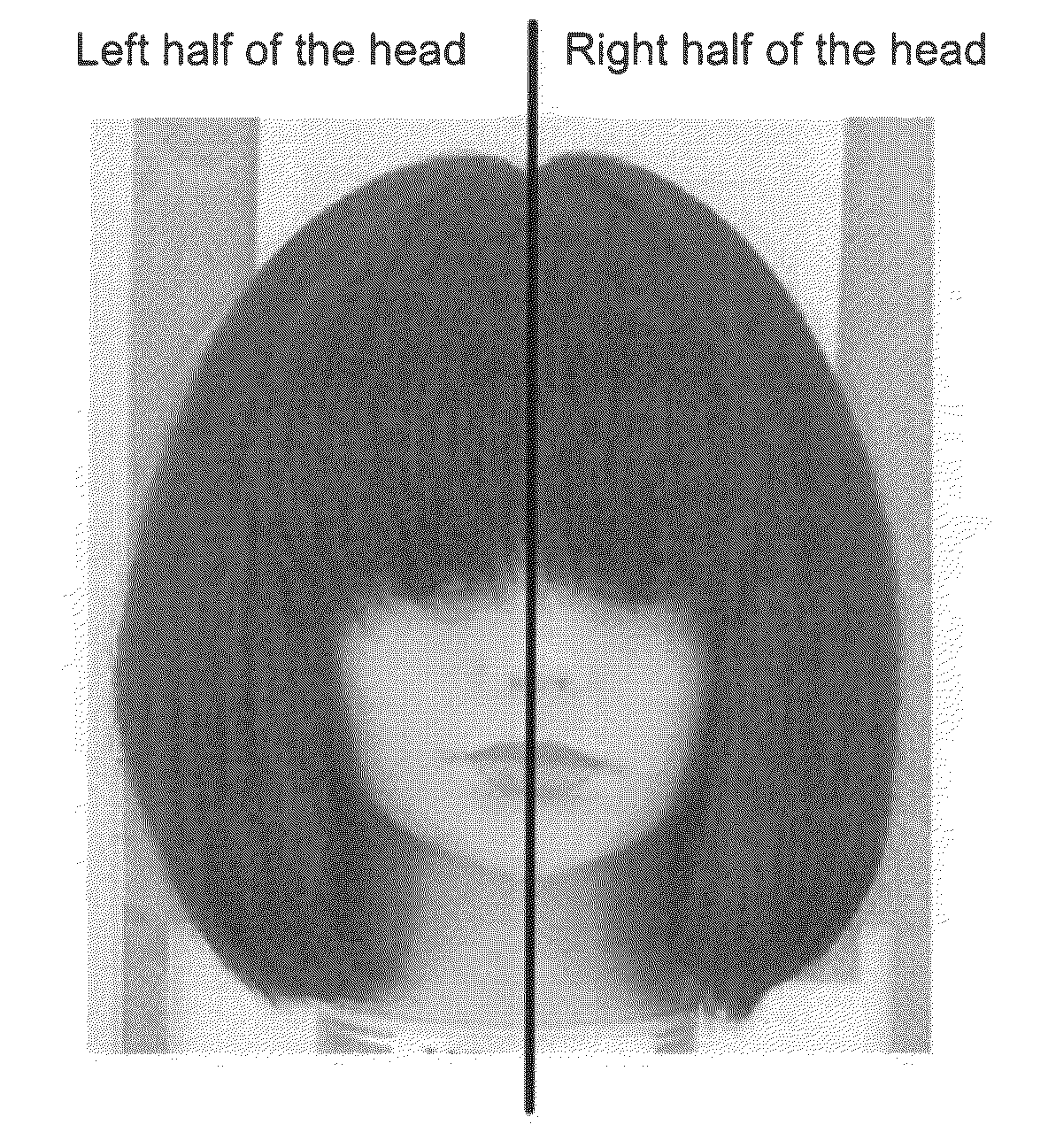 Hair dye composition