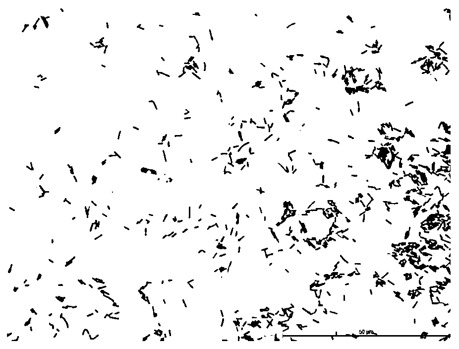 A Strain of Bacillus urea sc-7 and Its Application in Composting