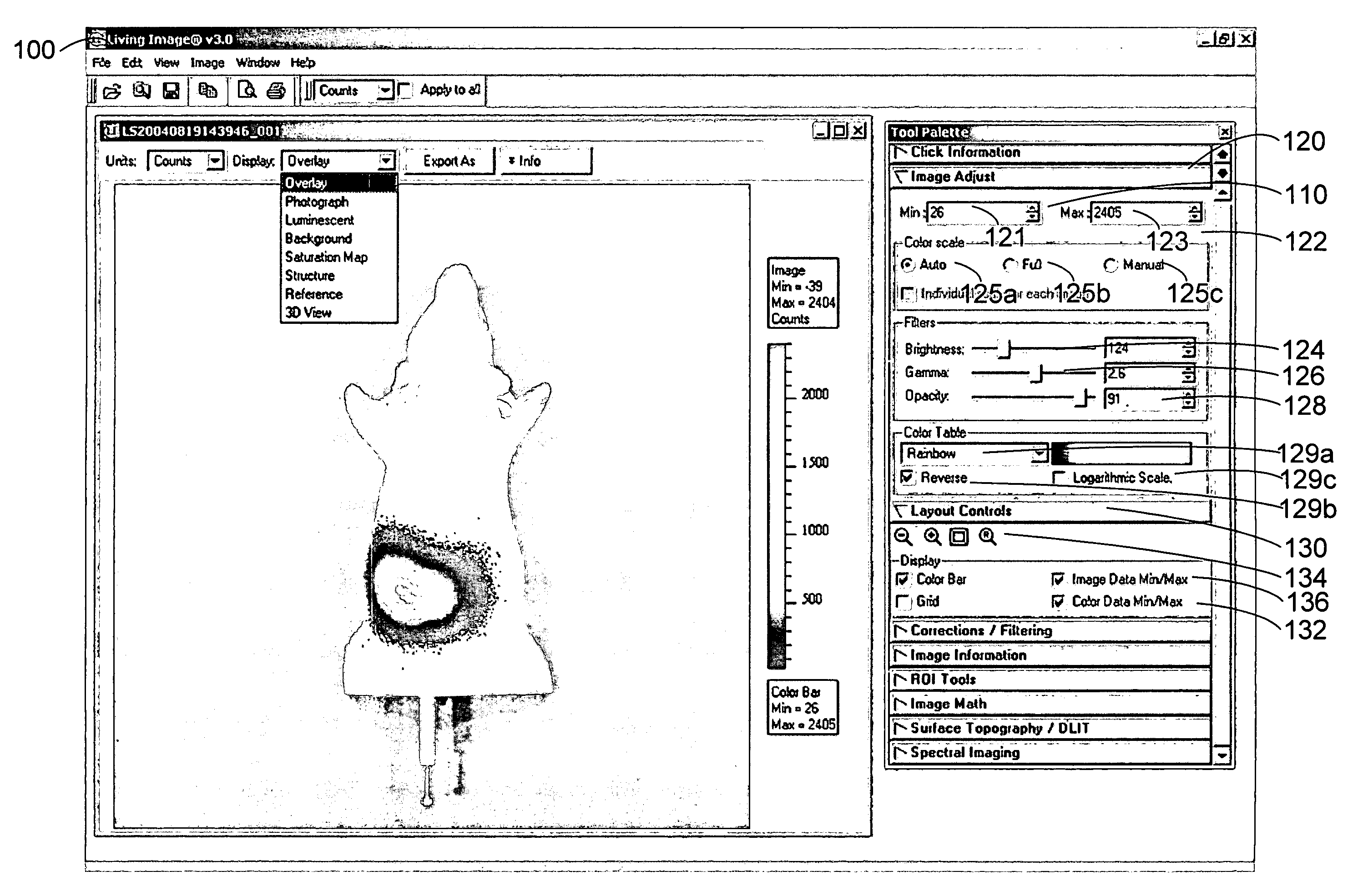 Graphical user interface for 3-D in-vivo imaging