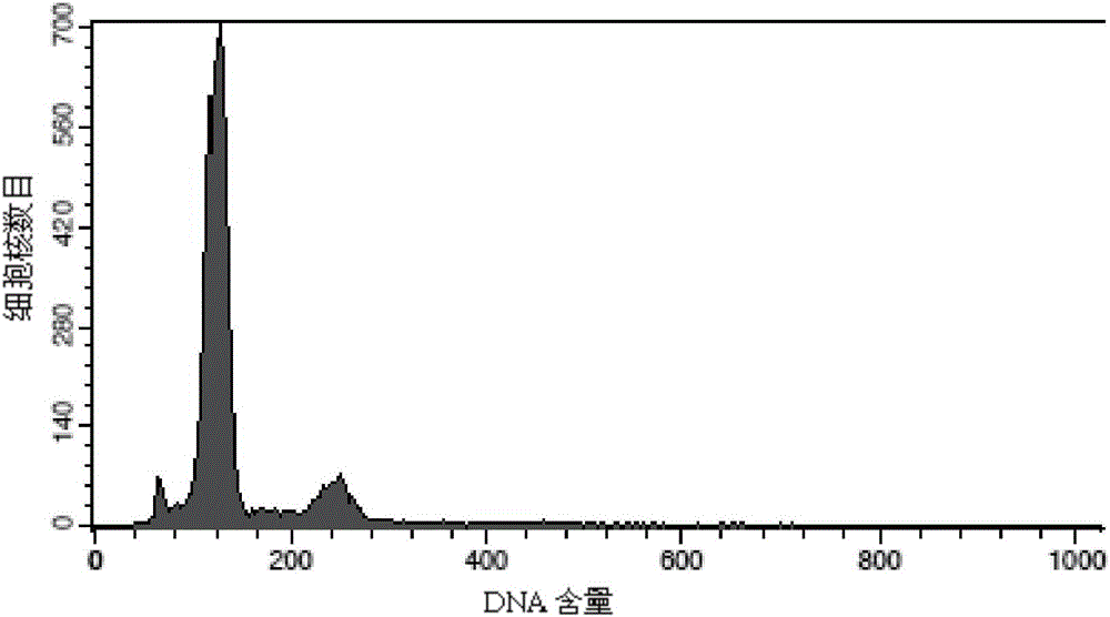 Method for quickly detecting ploidy of new brassica hexaploid germplasm