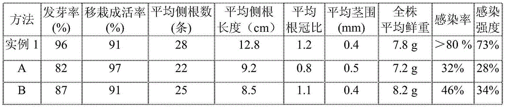 Cultivation method for quercus variabilis aseptic seedling