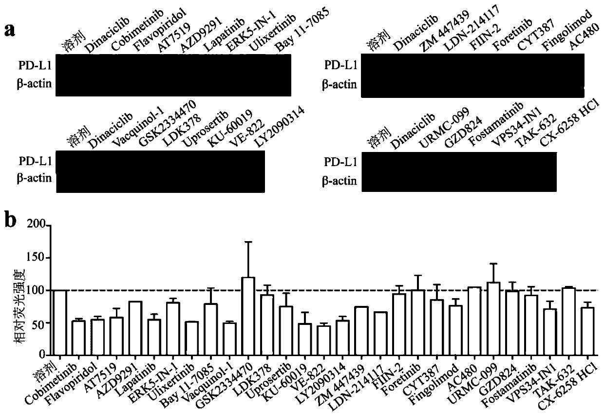 Inhibitor for targeted tumor cell surface PD-L1 molecules and application thereof