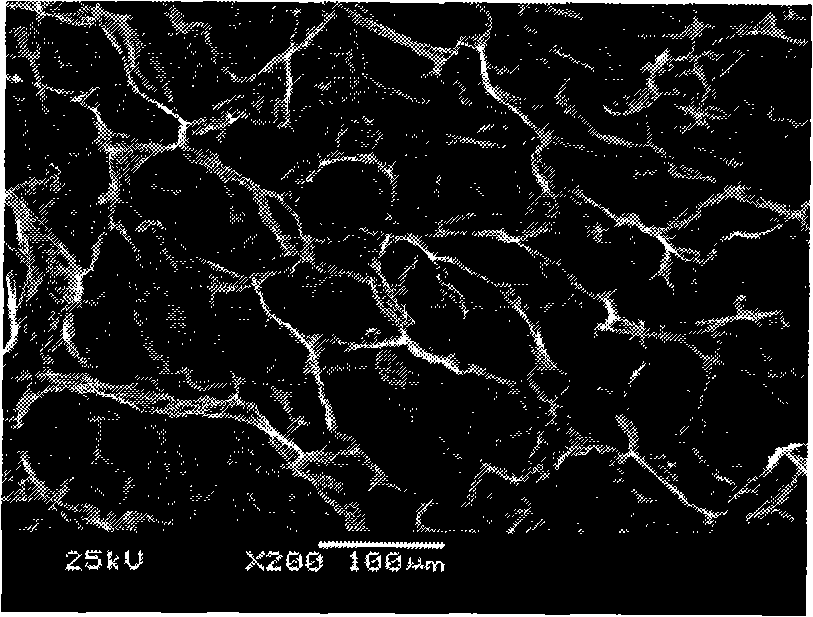 Method for preparing quaternized chitosan and plasmid DNA compound particle loaded skin regeneration material