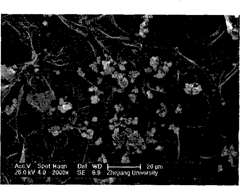 Method for preparing quaternized chitosan and plasmid DNA compound particle loaded skin regeneration material