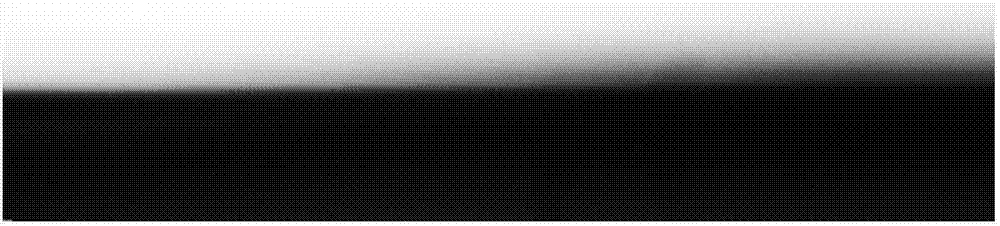 Preparation method of oil-water separation omentum with underwater ultra oleophobicity