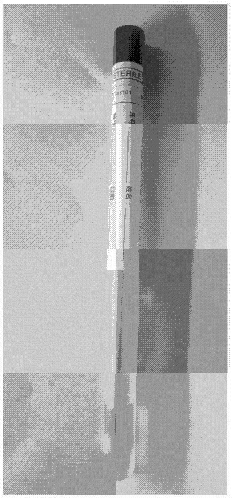 Perinatal period pregnant woman group B streptococcus sampling tubes and preparation method thereof