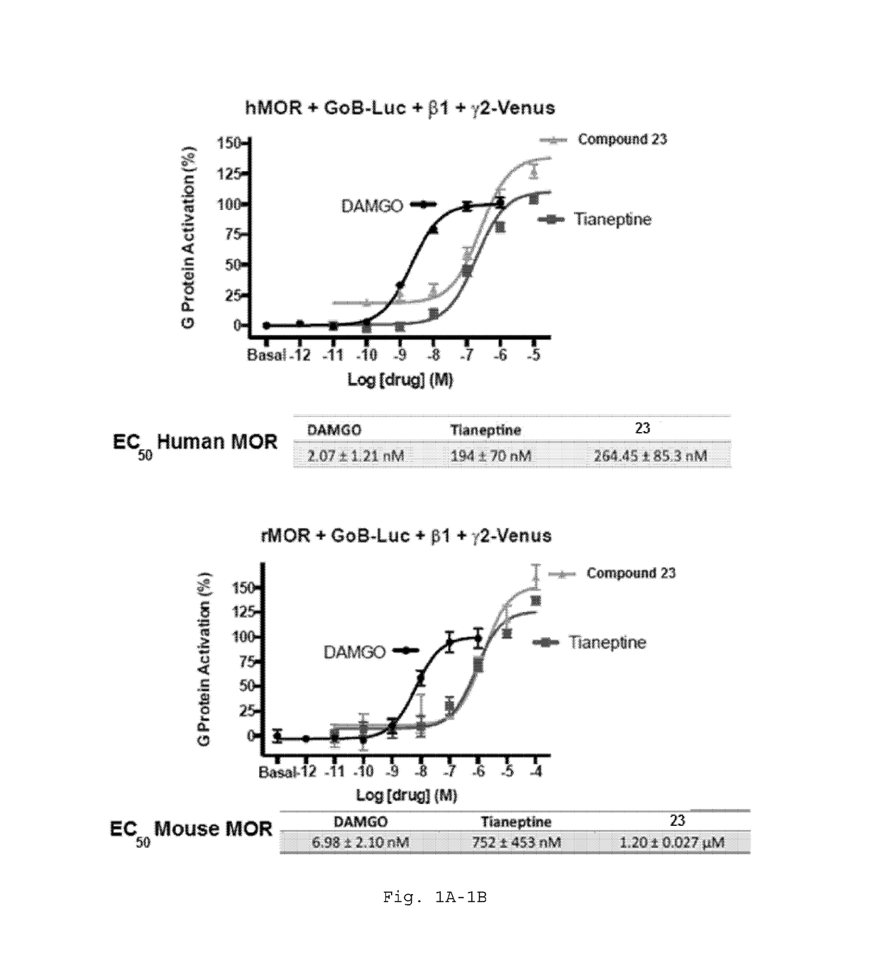 A new class of mu-opioid receptor agonists