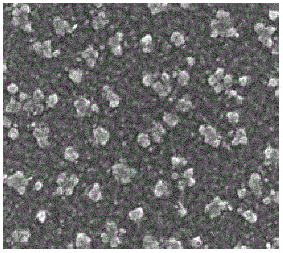 Preparation method of metallic graphene