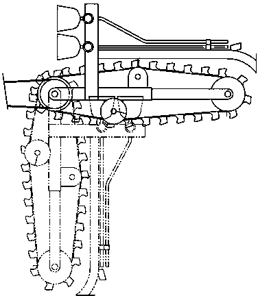 Chain type cistanche tubulosa multifunctional operating machine