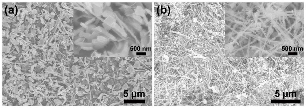 A novel microstructured magnesium ion battery positive electrode material and preparation method thereof