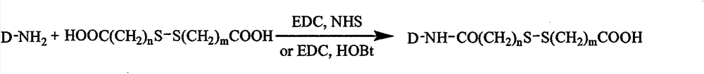 Amphiphilic polysaccharide-anti-tumor medicament conjugate capable of releasing medicines specifically at lesion site of living body, as well as preparation method and application of medicinal composition of amphiphilic polysaccharide-anti-tumor medicament conjugate