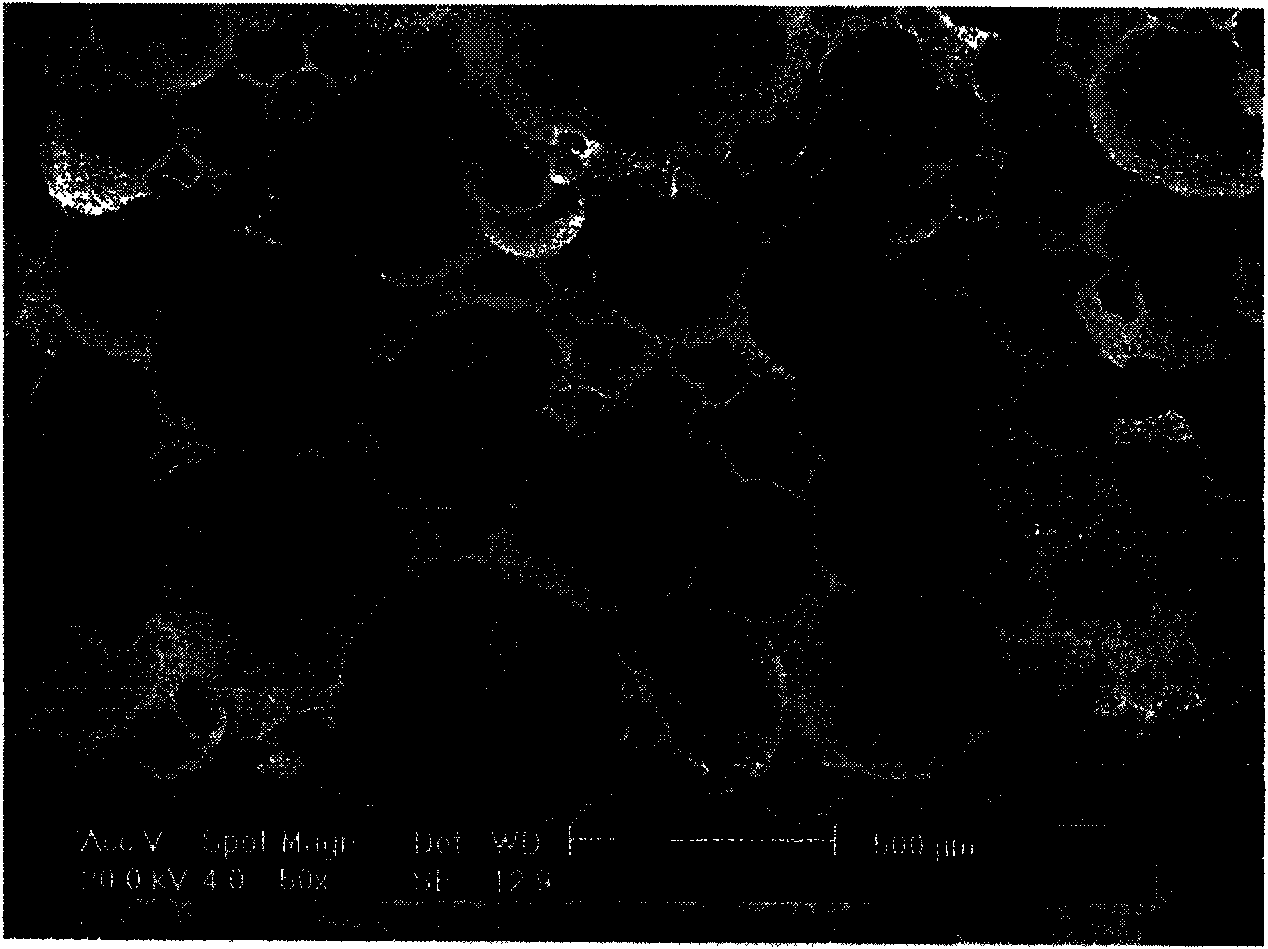 Preparation method of multistage drug release carrier compounded by gelatin microspheres and calcium phosphate cement