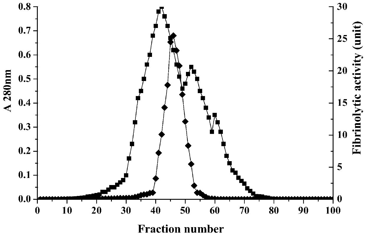 A kind of murine fibrinolytic active protein and its application