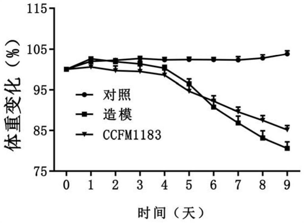 Strain Phocaeicola sp. capable of relieving ulcerative colitis and application of strain Phocaeicola sp.