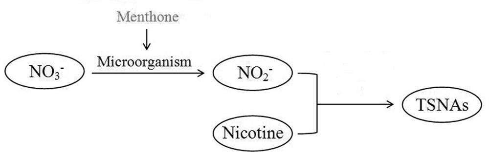 Application of Menthone in Reducing Tobacco Specific Nitrosamine Content in Cigar Fermentation Process