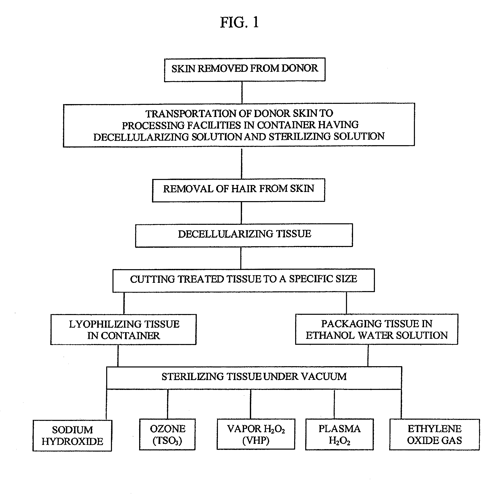 Process for sterilizing acellular soft tissue under vacuum