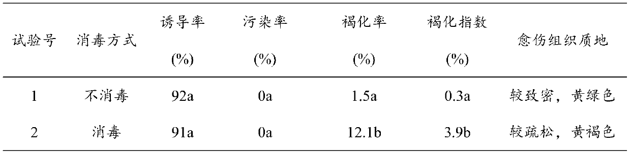 Anti-browning callus induction culture medium for rhododendron longipedicellatum, and application thereof