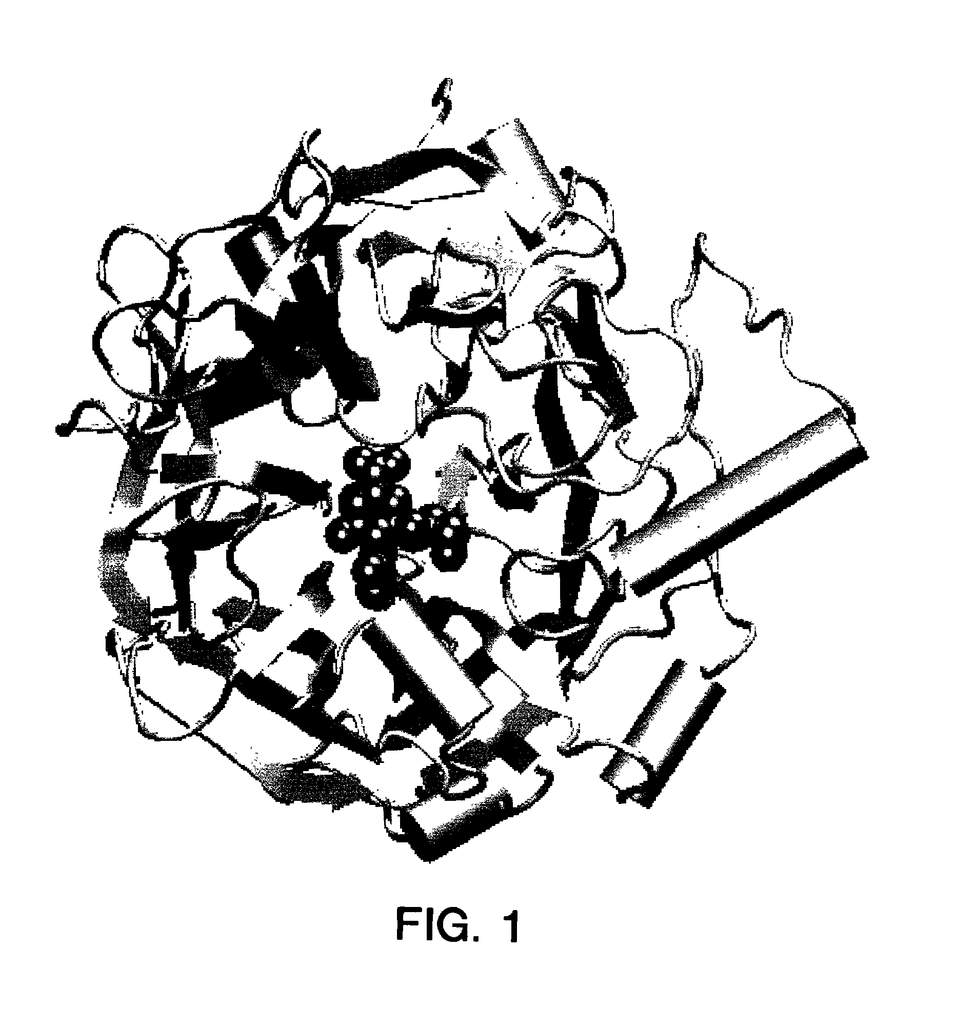 Three dimensional structure of paramyxovirus hemagglutinin neuraminidases and use thereof