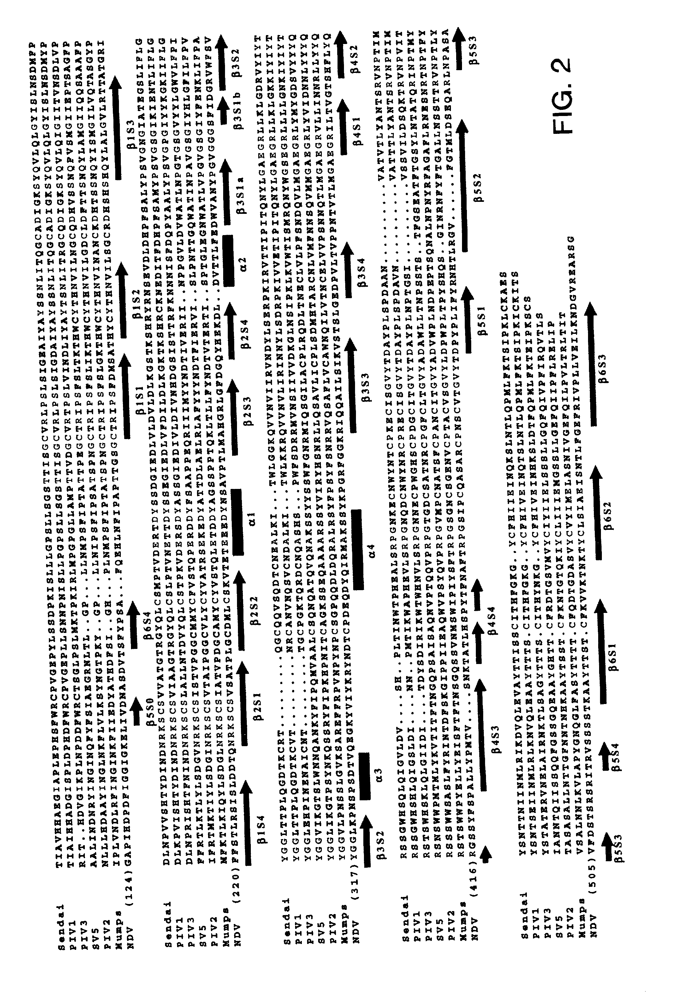 Three dimensional structure of paramyxovirus hemagglutinin neuraminidases and use thereof