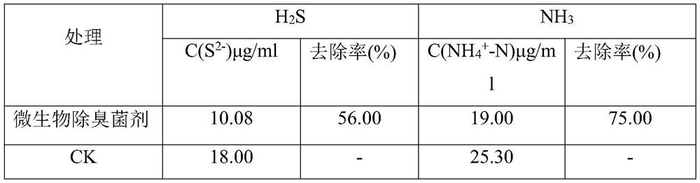 Desulfurization and ammonia removal microbial deodorant and preparation method thereof