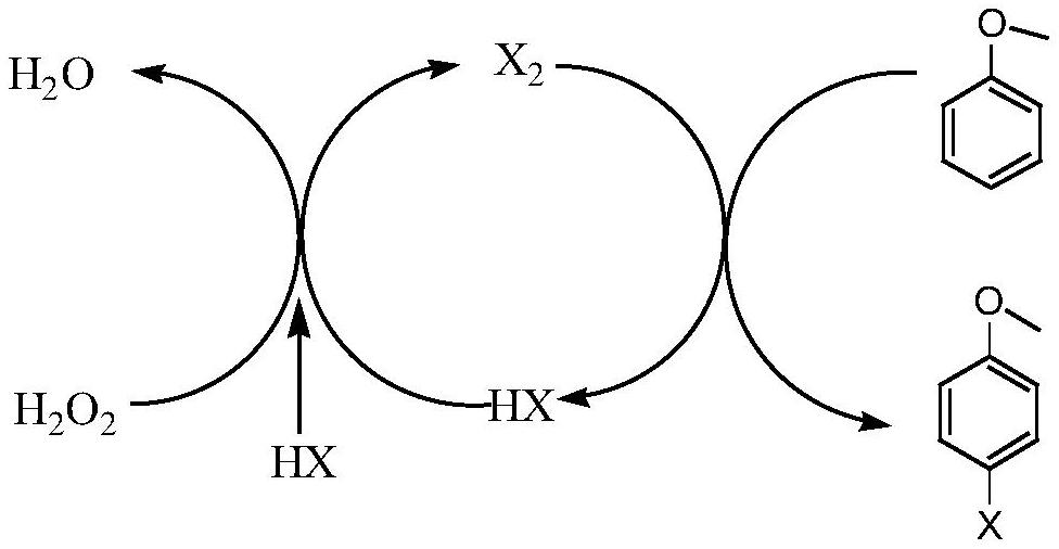 Method for preparing p-bromoanisole by oxidative bromination method