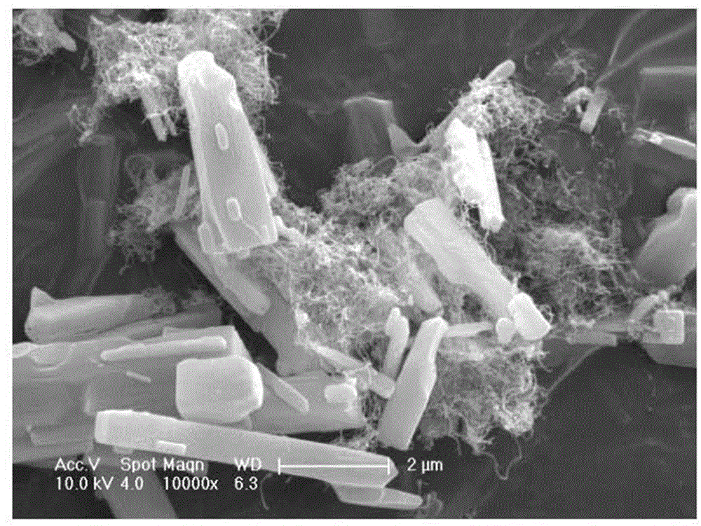 Lithium ion battery anode composite material and its preparation method