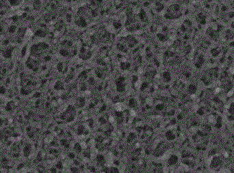 In-situ compatibilization organic-inorganic hybrid membrane and preparation method