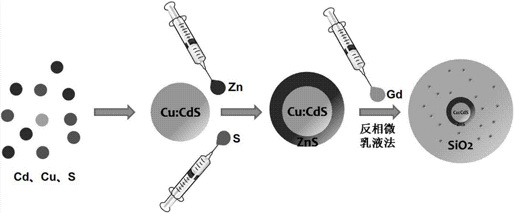 Silica-coated quantum dot multifunctional nanocomposite material and preparation method thereof