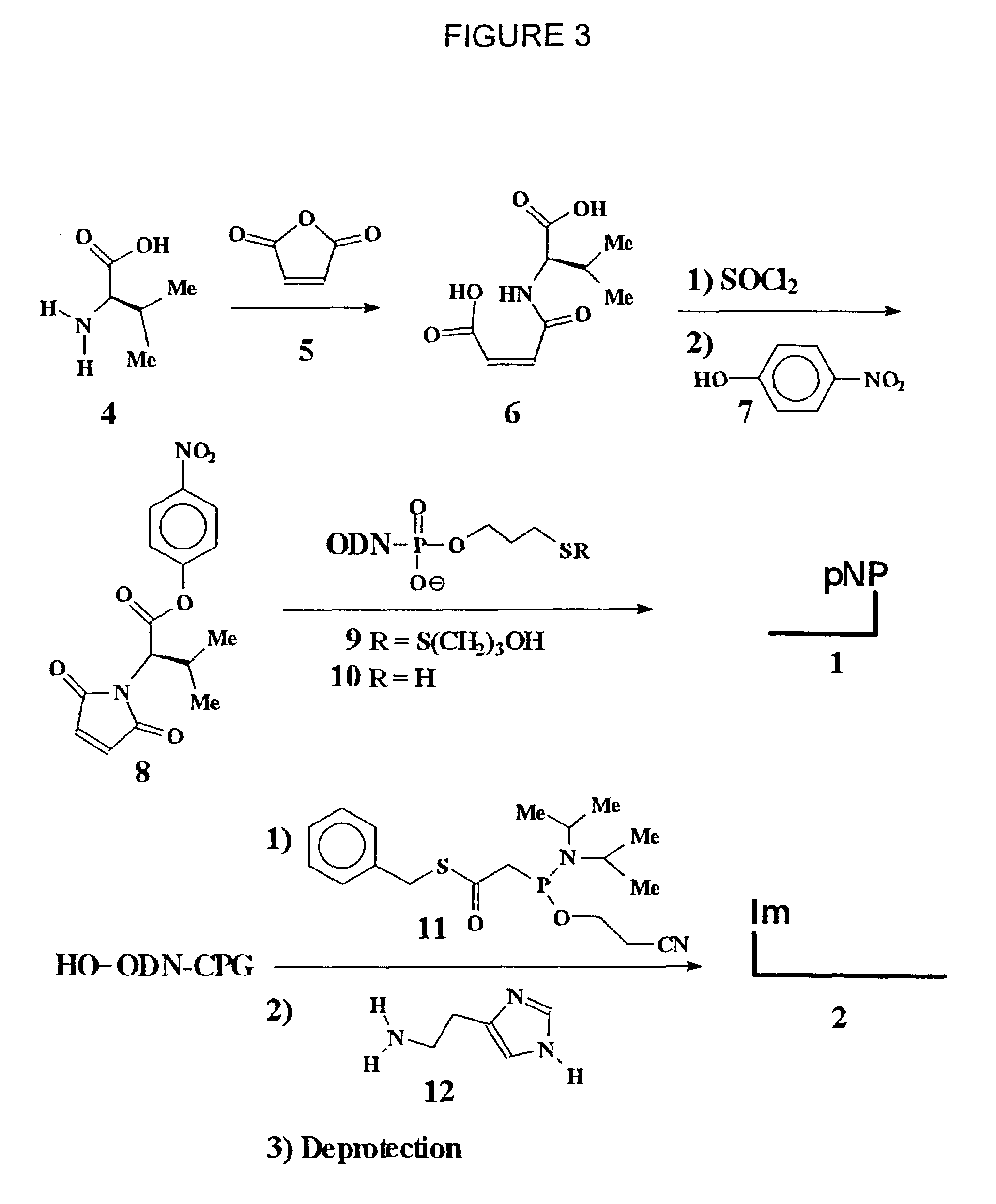 Nucleic acid triggered catalytic drug and probe release