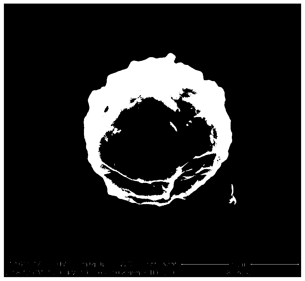 A kind of core-shell micron silver and its preparation method and application