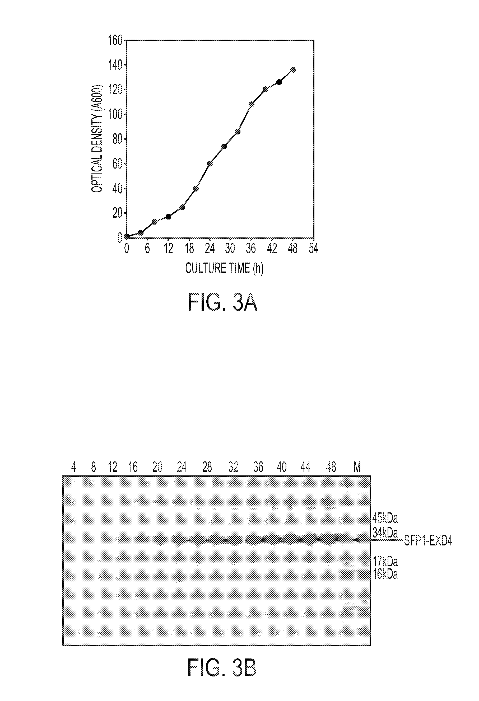 Screening of Abundantly Secreted Proteins and Their Use as Fusion Partners for the Production of Recombinant Proteins