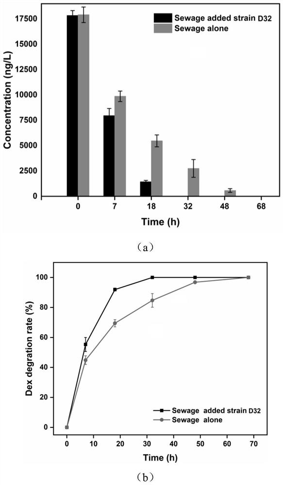 A Dexamethasone Efficient Degradation Bacteria and Its Application