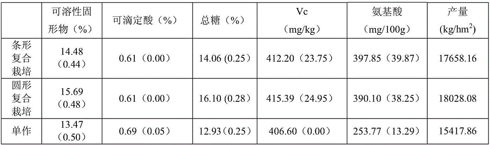 Compound ecological growing method of grapes and agaricus bisporus