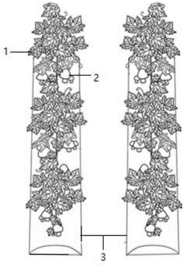 Compound ecological growing method of grapes and agaricus bisporus